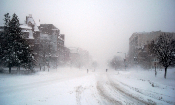 Blizzard_conditions_-_Massachusetts_Avenue,_N.W.